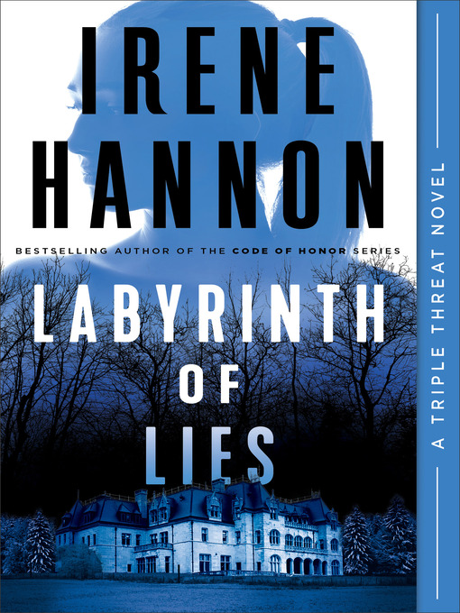 Cover image for Labyrinth of Lies